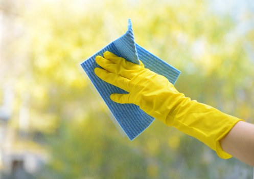 Local Hatch End carpet cleaning specialists delivering fresh interior care