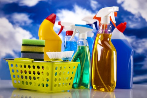 Deep cleaning treatment for pet odour removal in Hatch End