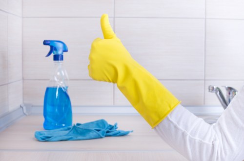 Sustainable cleaning supplies and borough waste recycling practices