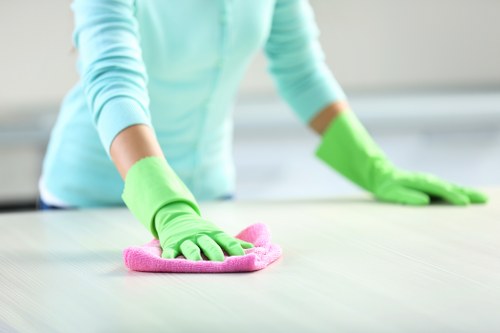 Cleaner assessing carpet fibres and stain treatment options