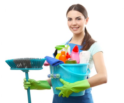 Professional upholstery cleaning and stain treatment